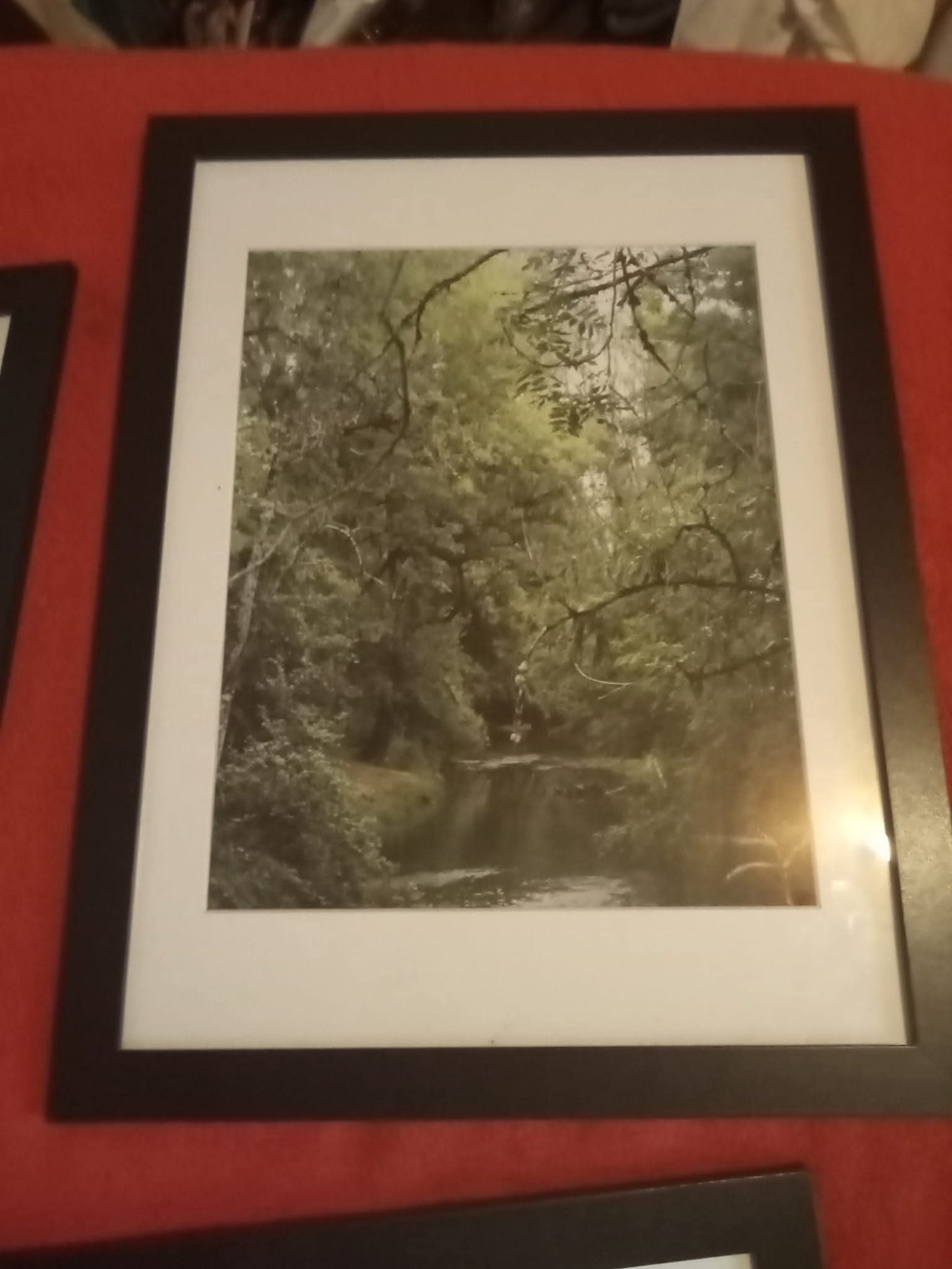 Photographie couleur