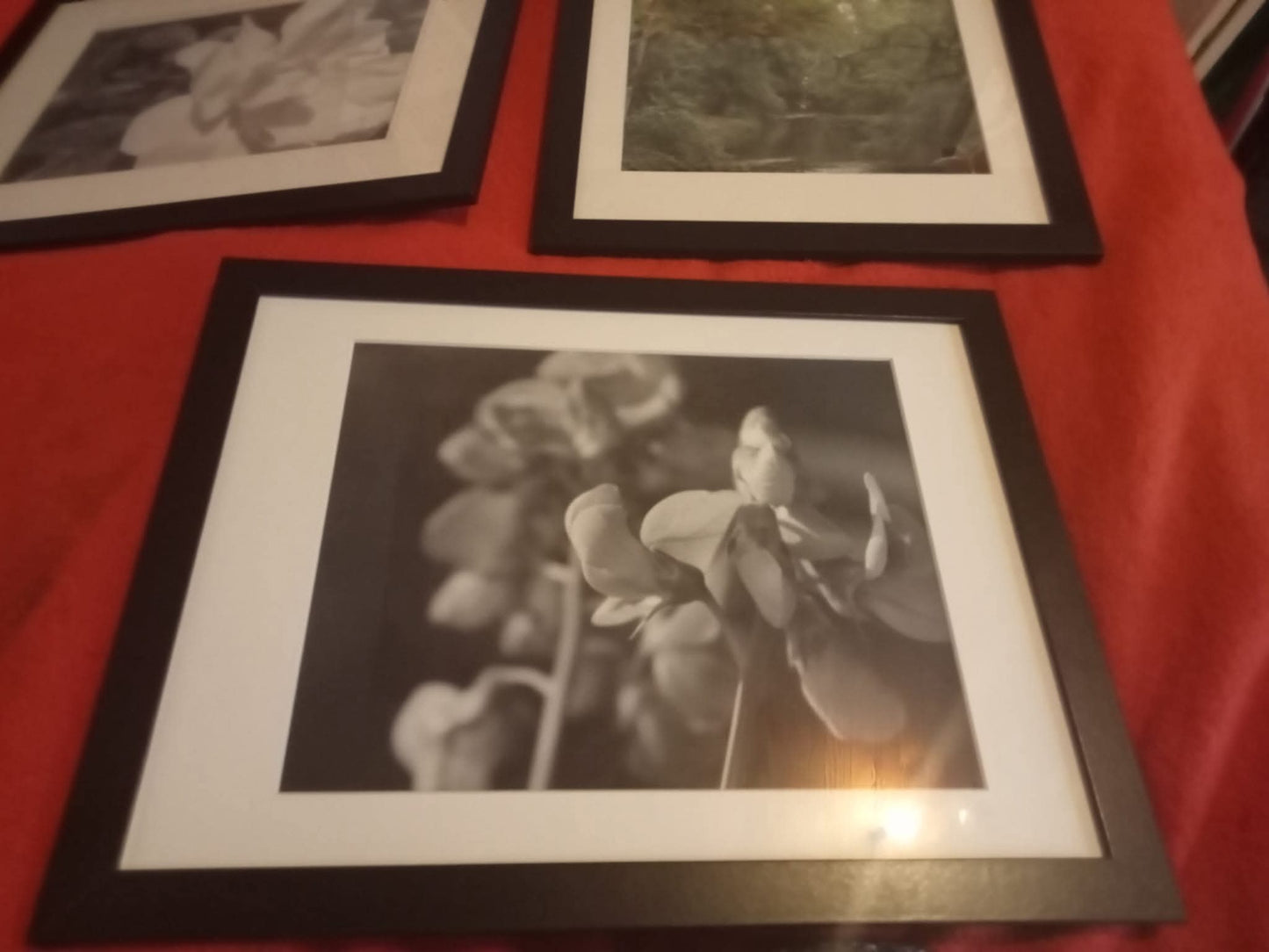 Photographie noir et blanc