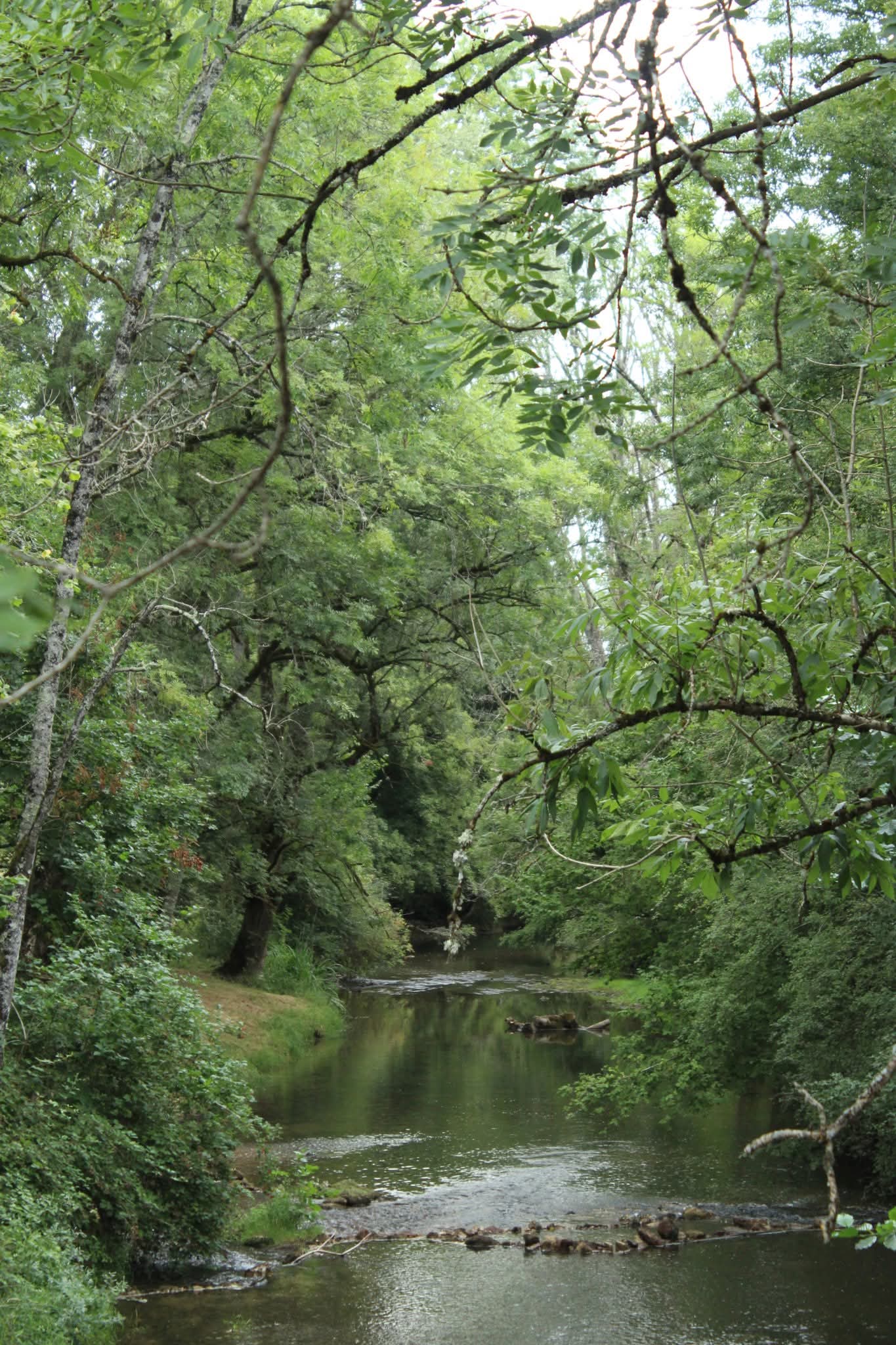 Photographie couleur